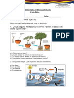 Formativa Nº 3 Ciencias 6º