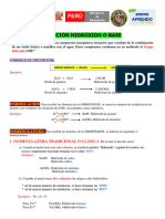 FUNCIÓN HIDRÓXIDO O BASE - 17 Ava Clase