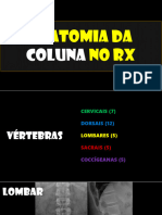 Mod 2 Etapa 1 Aulas 3 4 e 5 - Anatomia Da Coluna, MMSS, Mmii No RX