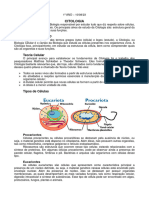 1º Ano - Citologia - 10.08.23