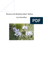 Reserva de Biodiversidad Nativa