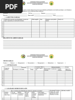 FICHA Levantamiento de Información