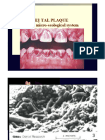 2.LOCAL PLAQUE and PLAQUE RETENTIVE FACTORS. 2013ppt