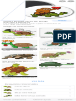Dibujos Montando Una Tortuga - Búsqueda de Google