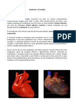 Anatomia - O Coração