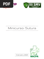 Minicurso Sutura