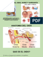 Anatomia Del Oido La Nariz y La Garganta