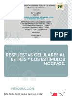 Respuestas Celulares Al Estres y Los Estimulos Nocivos.