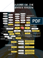 Concept Map - Human Nervous System