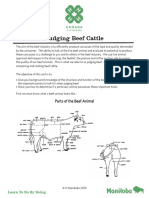 Judge Beef Factsheet