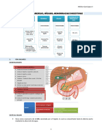 TEMA 04 - Vía Biliar, Páncreas, Hígado