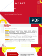 Slides N1 Processos Psicologicos Basicos