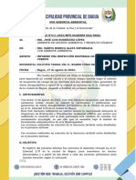 Informe 11 - Informo Una Inspeccion Inopinada de Crianza Cerdos