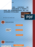 01 Ámbitos Del Control de Constitucionalidad y Etapas y Fase de Admisibilidad de Las Acciones Tutelares - Karem Lorena Gallardo