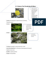 Science Unit 5 Part 1 Science Test Vocabulary & More
