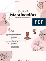 Presentación Músculos de La Masticación