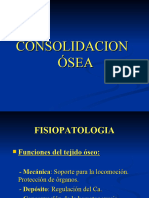 Consolidacion Osea 1