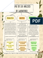 Mapa Conceptual