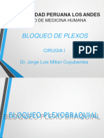 Bloqueo de Plexos