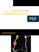 Plant Growth Promoting Bacteria