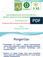 Kelembagaan K3