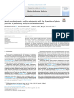 TSUKADA Beach Morphodynamics and Its Relationship With The Deposition of Plastic Particles - A Preliminary Study in Southeastern Brazil