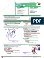 Ninja Nerd Notes - Auditory Pathway