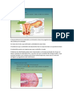 Ciclo Estral, Vitelogênese, Tipos de Ovos e Fertilização 7