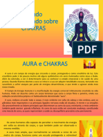 Estudo Aprofundado Sobre CHAKRAS2023