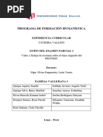 PDF Documento