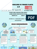 Organizador Gráfico "Ciclos Biogeoquímicos"