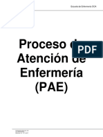 Manual de Pae