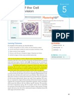 Anatomy & Physiology of Cell