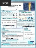 Infografia Higiene Postural - Jaime Delgado