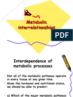 STARVE FEED CYCLE... Gluconeogenesis