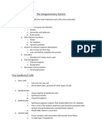 Chapter 5 Notes - A&P 2022