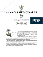 Plantas Medicinales