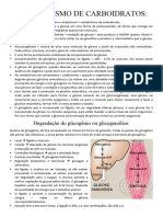 Metabolismo de Carboidratos