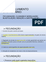 Desenvolvimento Embrionario