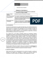 Servicio para La Implementacion de Actividads de Coordinación Territorial en La Region Vraem