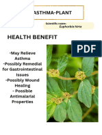 Asthma Plant