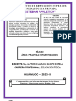 SÍLABO PRACTICA E INVESTIGACION IV Listo