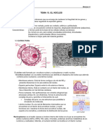 Tema 13. El Núcleo