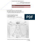 Anatomía General (APUNTES)