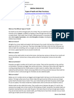 DENTAL ENGLISH 2 - Types of Teeth and Their Functions