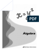 Álgebra 1