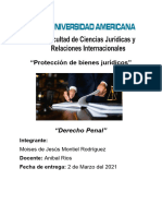 Protección de Bienes Jurídicos