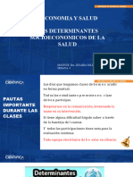 SS4 Los Determinantes Economicos de La Salud