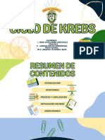 Ciclo de Kreps