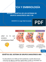 Semana 9 Teoría Genética de Los Grupos Sanguíneos Diapositivas